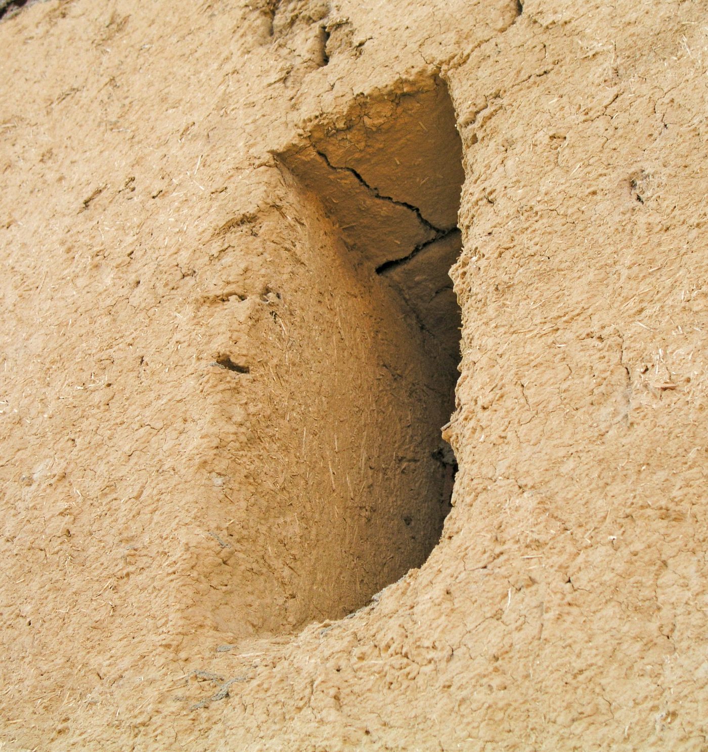 Palazuelo de Vedija
