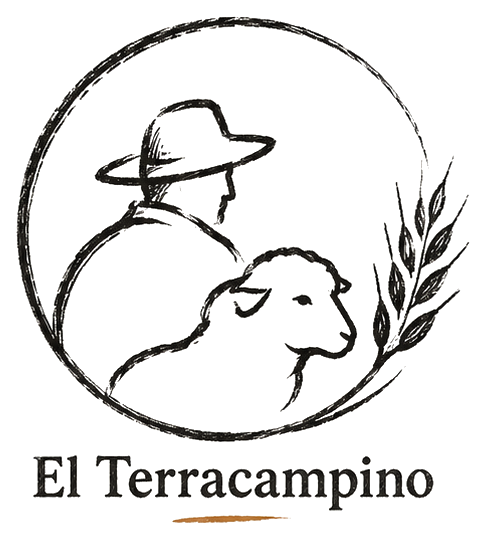 El Terracampino